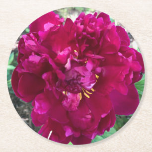 Rond Dessous de verre de papier Peony