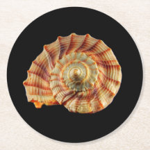 Dessous de verre de Shell