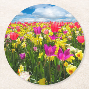 Rond Dessous de verre de tulipe de couleur vive