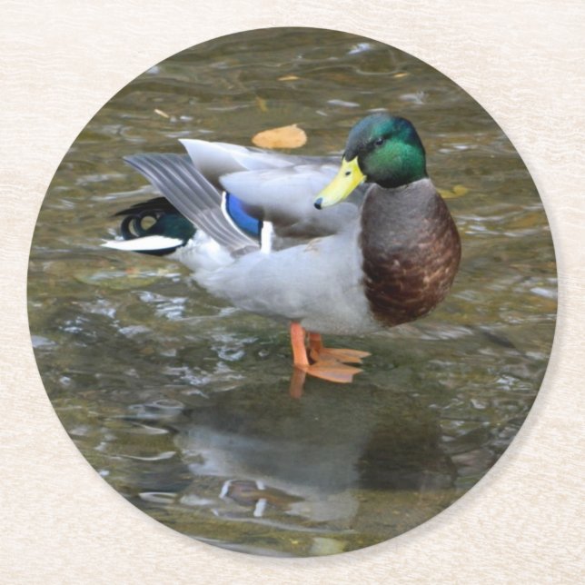 Rond Dessous de verre en papier Mallard Duck (Homme) (Devant)