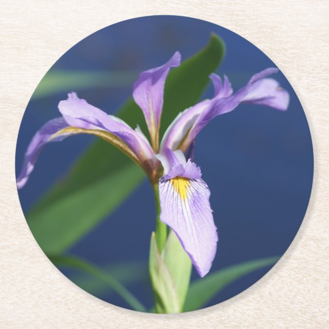 Rond Dessous de verre Iris pack de 6 (Devant)