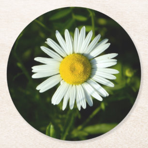 Rond Dessous de verre papier Daisy Delight