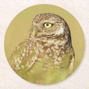 Rond Dessous de verre papier de profil de la Chouette e