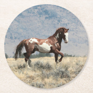Rond Dessous de verre Wild Stallion