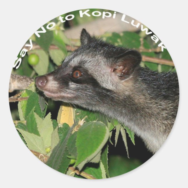Rond Dites non à Kopi Luwak Sticker (Devant)