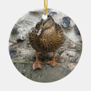 Rond En Céramique Canard sur un ornement mural