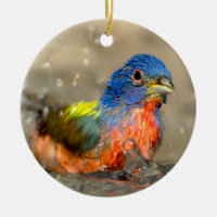 Étamine peinte - bel ornement d'oiseaux