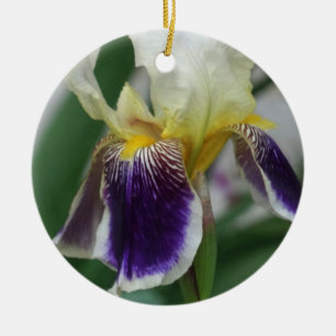 Rond En Céramique Iris Fleur Photo Cercle Ornement
