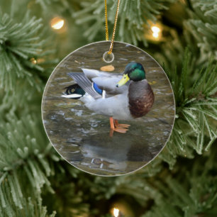 Rond En Céramique Mallard Duck (Creek) Ornement