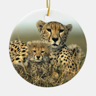 Rond En Céramique Maman de guépard et ornement de CUB