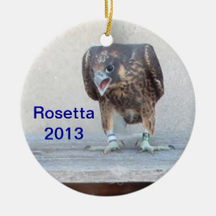 Rond En Céramique Ornement 2013 de Rosetta