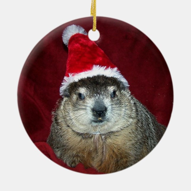 Rond En Céramique Ornement 2 de Clara Groundhog (Dos)