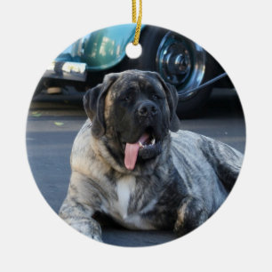 Rond En Céramique Ornement anglais de mastiff