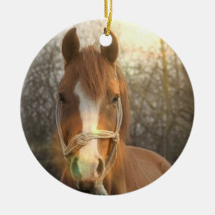 Rond En Céramique Ornement arabe de cheval de châtaigne