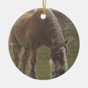 Rond En Céramique Ornement belge de cheval de trait