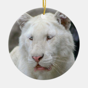 Rond En Céramique Ornement blanc rare de tigre