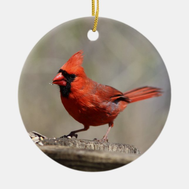 Rond En Céramique Ornement cardinal (Devant)