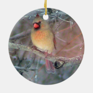 Rond En Céramique Ornement cardinal femelle de Noël