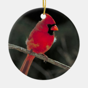 Rond En Céramique Ornement cardinal rouge de Noël