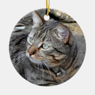 Rond En Céramique Ornement : Chat tigré