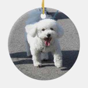 Rond En Céramique Ornement de Bichon Frise