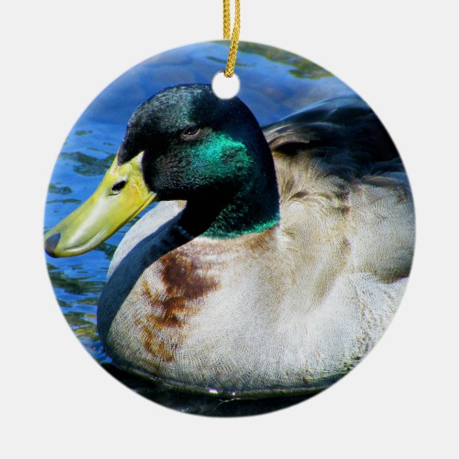 Rond En Céramique Ornement de canard (Devant)