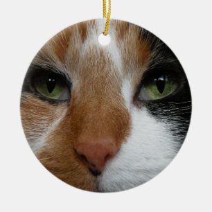 Rond En Céramique Ornement de chat de calicot