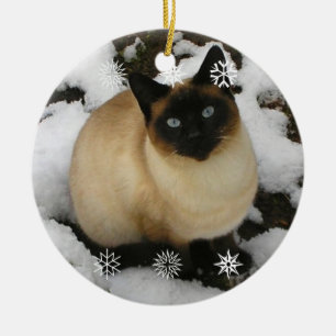 Rond En Céramique Ornement de chat de neige