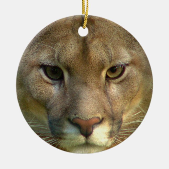 Rond En Céramique Ornement de chat de puma (Devant)