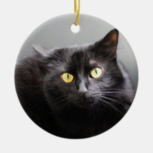 Rond En Céramique Ornement de chat noir
