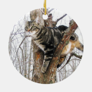 Rond En Céramique Ornement de chat Tabby