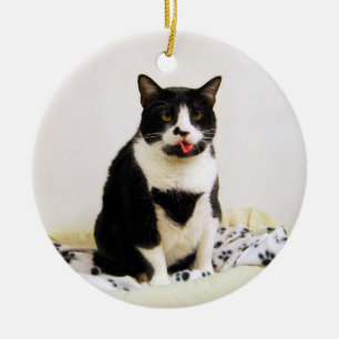 Rond En Céramique Ornement de chat Tuxedo