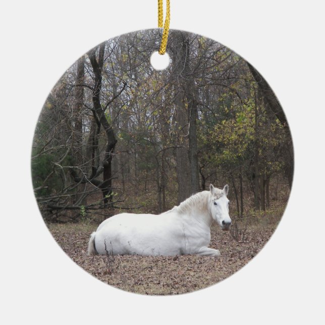 Rond En Céramique Ornement de cheval blanc (Devant)