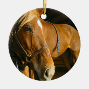 Rond En Céramique Ornement de cheval de châtaigne