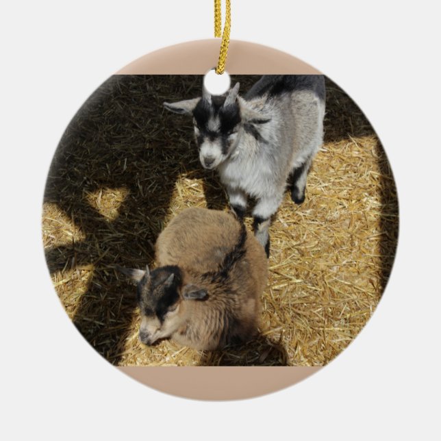 Rond En Céramique Ornement de chèvres de bébé (Devant)