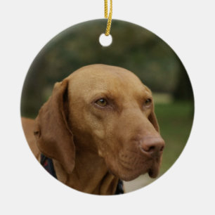 Rond En Céramique Ornement de chien de Rhodesian Ridgeback