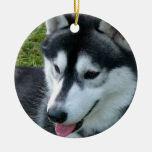 Rond En Céramique Ornement de chien de traîneau sibérien