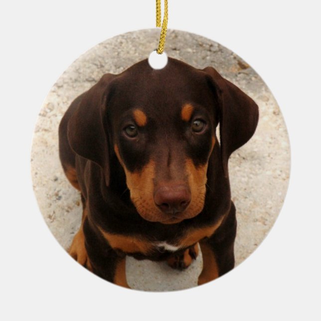 Rond En Céramique Ornement de chiot de dobermann (Devant)