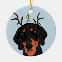 Ornement de Coonhound de gui