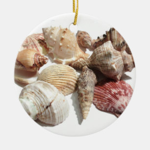 Rond En Céramique Ornement de coquillage