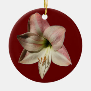 Rond En Céramique Ornement de ~ d'amaryllis