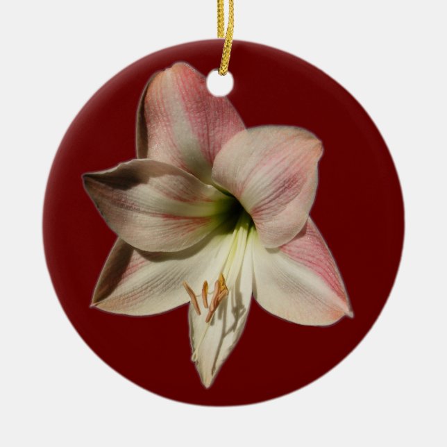 Rond En Céramique Ornement de ~ d'amaryllis (Devant)