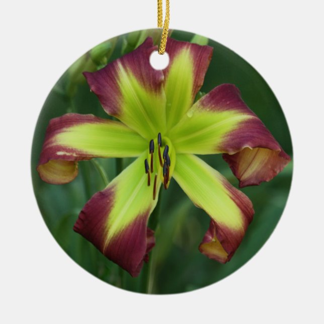 Rond En Céramique Ornement de Daylily (Devant)