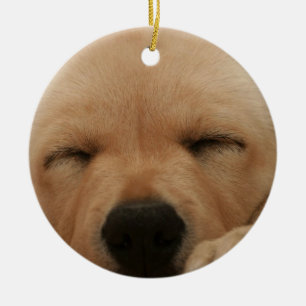 Rond En Céramique Ornement de golden retriever de sommeil