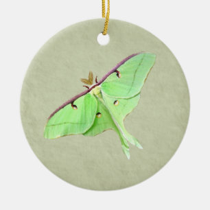 Rond En Céramique Ornement de la Luna Moth
