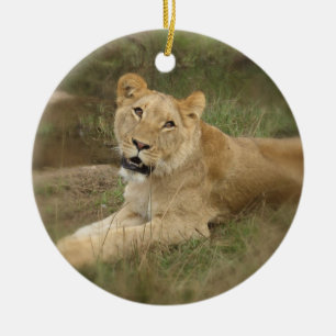 Rond En Céramique Ornement de lionne