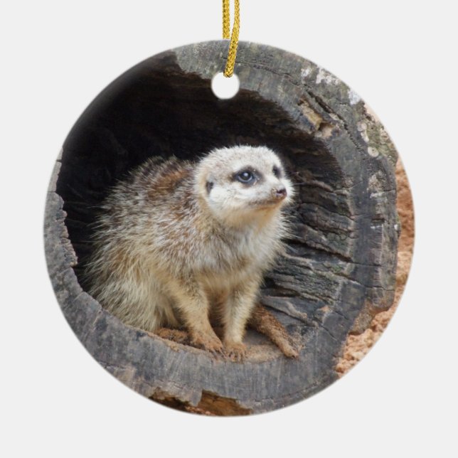Rond En Céramique Ornement de Meerkat (Devant)