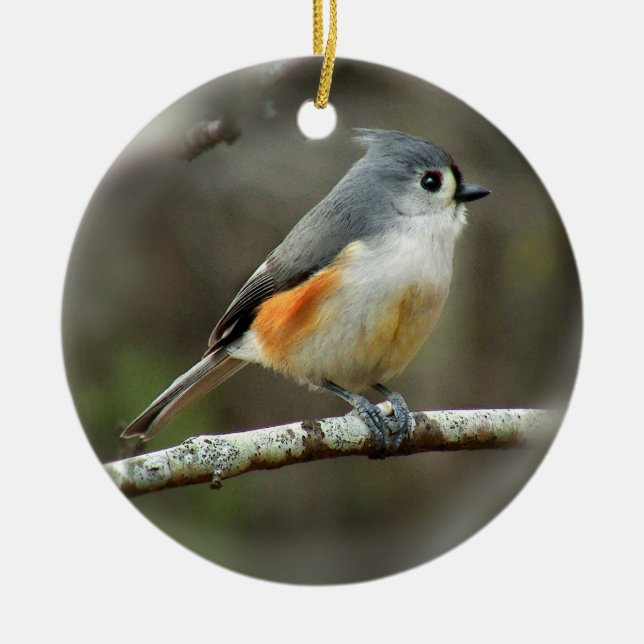 Rond En Céramique Ornement de mésange tuftée (Devant)