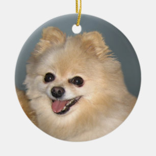 Rond En Céramique Ornement de Pomeranian
