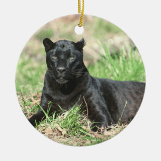 Rond En Céramique Ornement de repos de puma